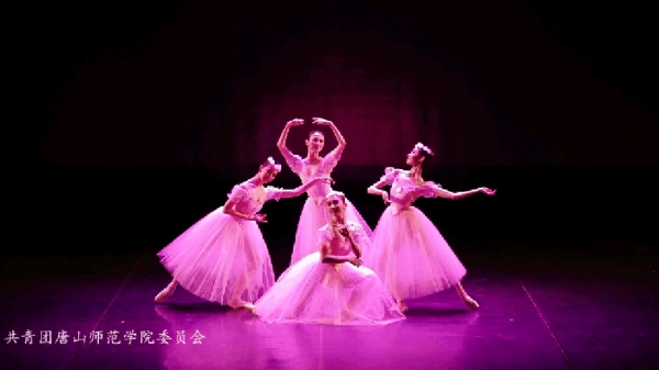 中央芭蕾舞团“2017高雅艺术进校园”活动走进w88win官网