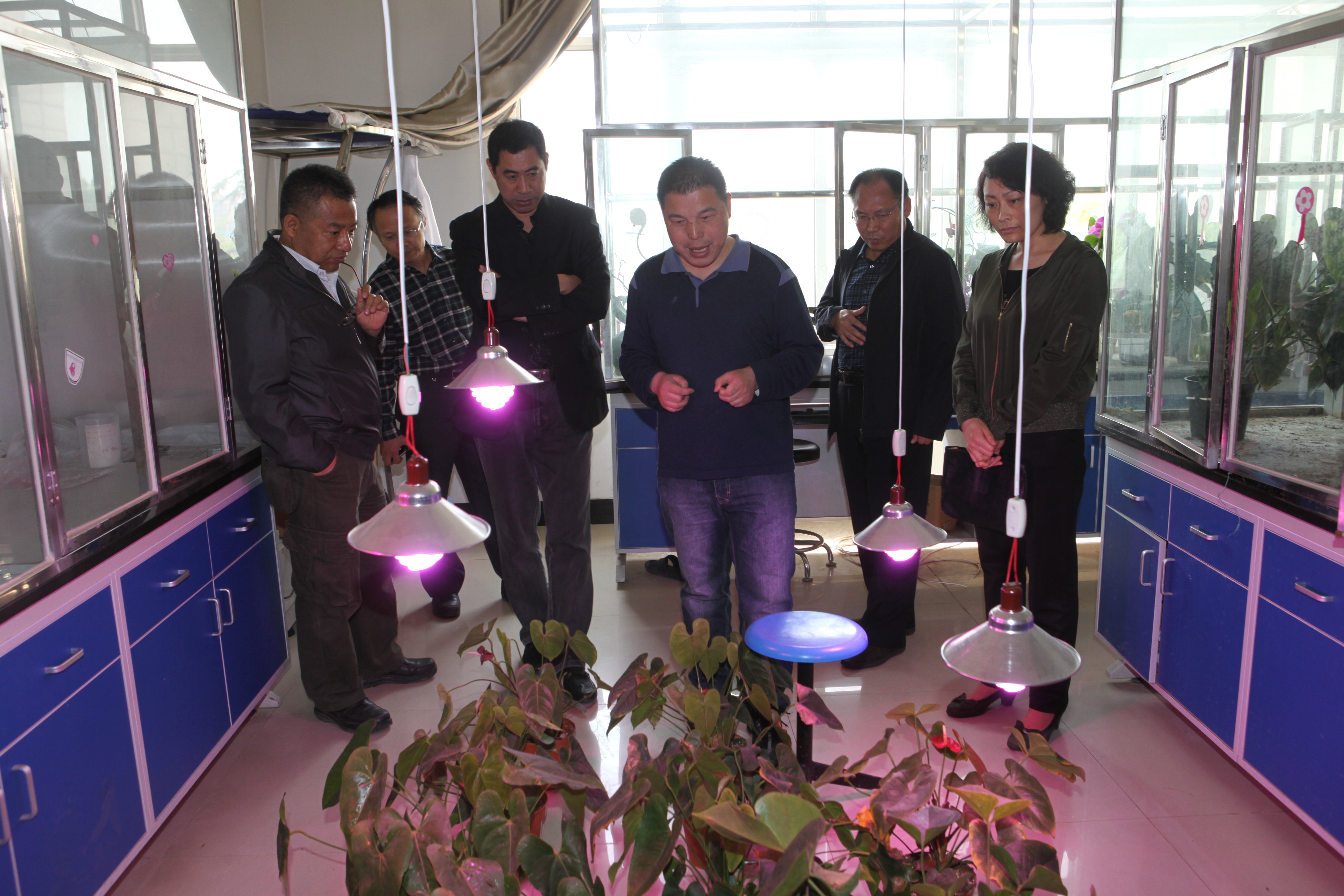 w88win官网两项唐山市重点实验室项目顺利通过专家验收