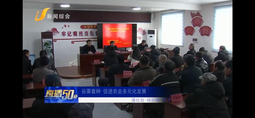 《唐山广播电视台》——w88win体育官网：谷栗套种 促进农业多元化发展